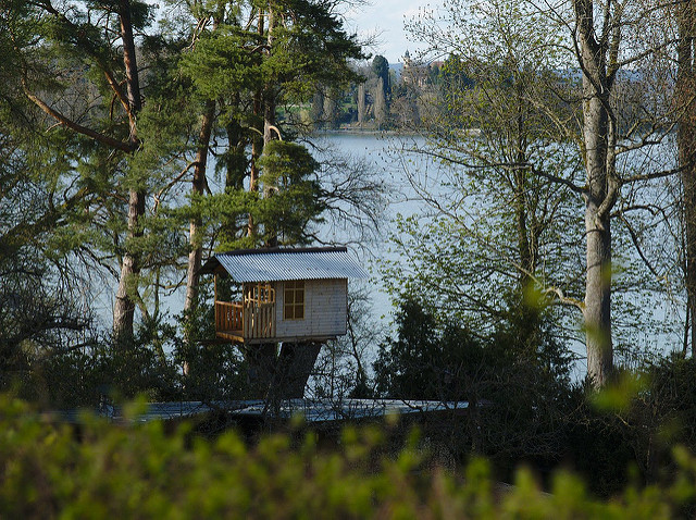 Ein Baumhaus